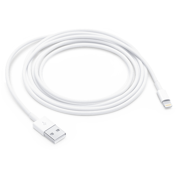 Apple Lightning to USB Cable (0.5m)